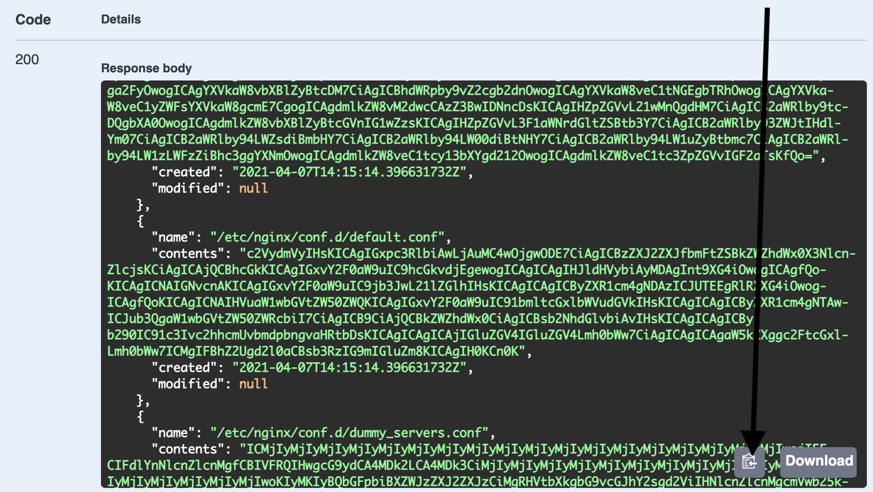 ../_images/API-base64-copyall.png