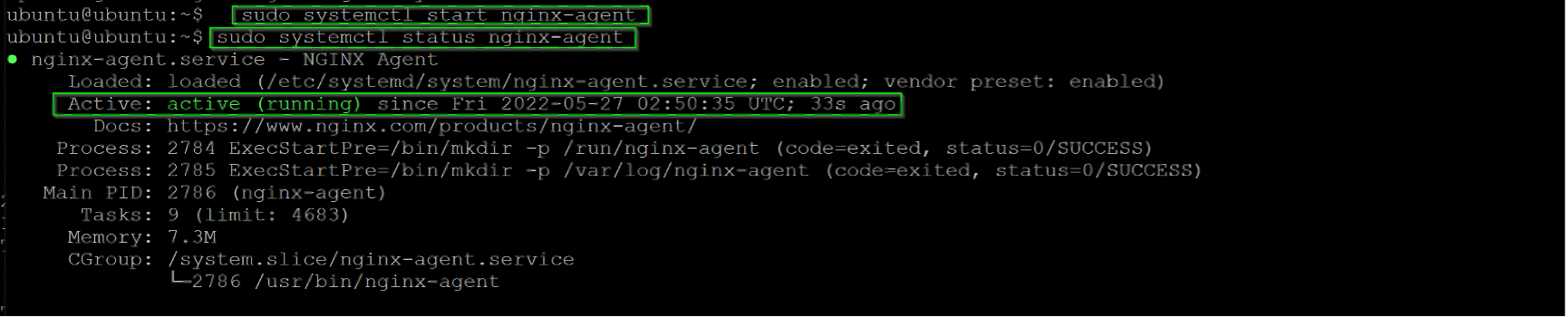 ../_images/enable_agent.png